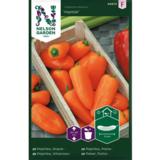 Vihannespaprika, 'Hamik'