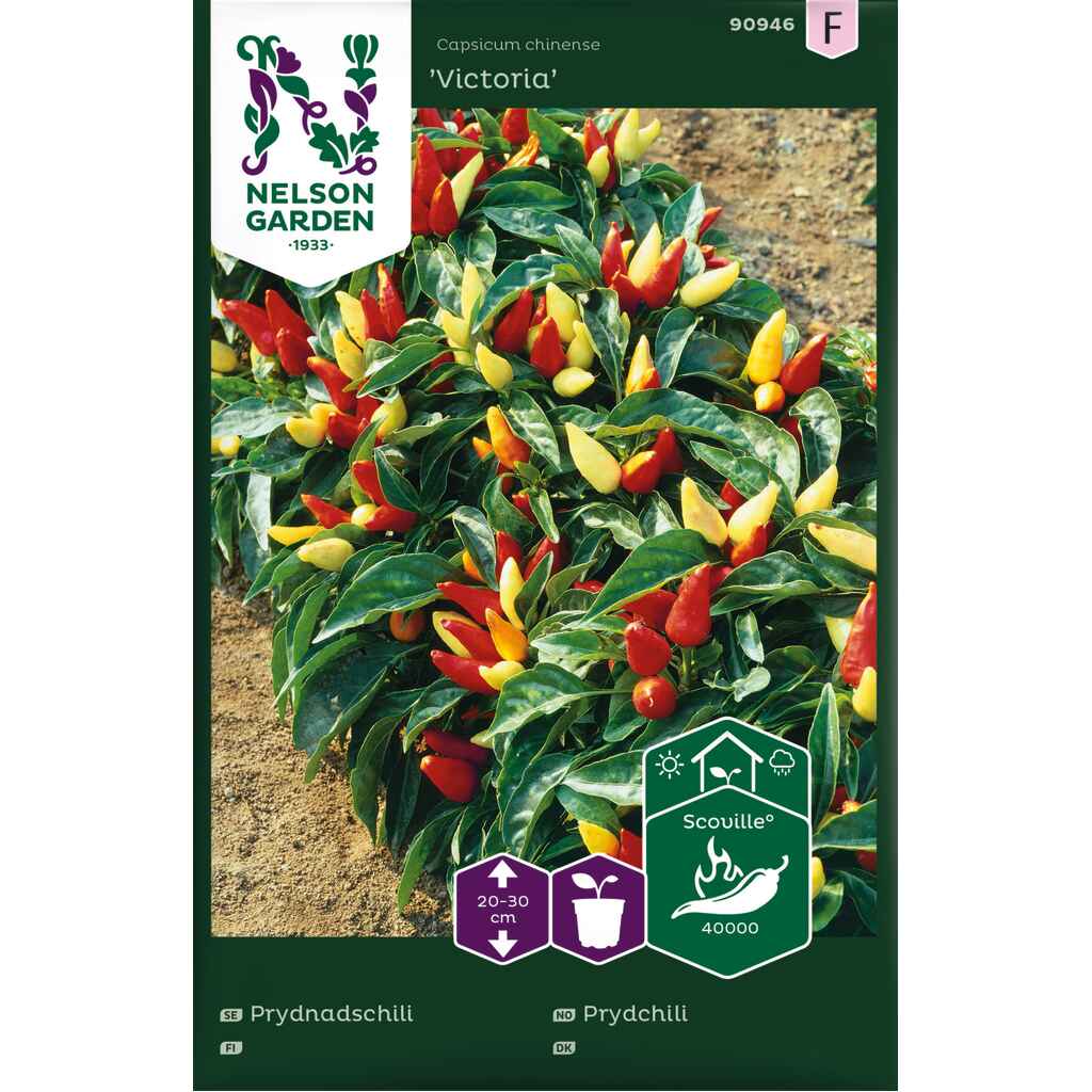 Koristechili 'Victoria'