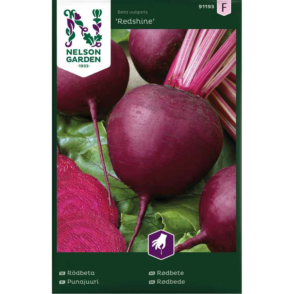 Punajuuri 'Redshine'