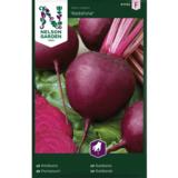 Punajuuri, 'Redshine'