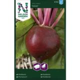 Punajuuri, 'Solist', kylvönauha