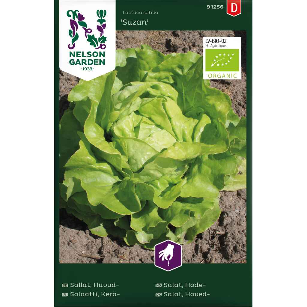 Keräsalaatti 'Suzan', luomu