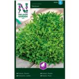 Tammenlehtisalaatti, 'Skilton'