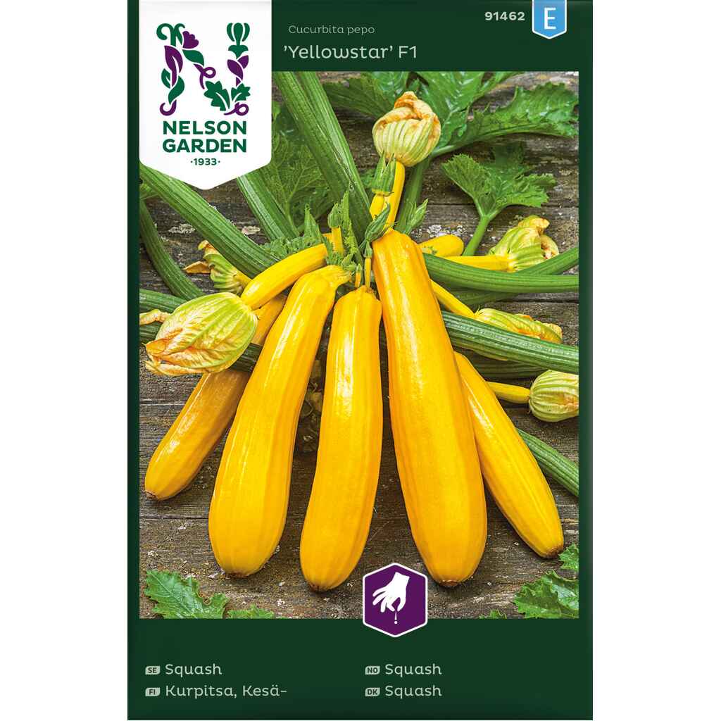 Kesäkurpitsa 'Yellowstar' F1