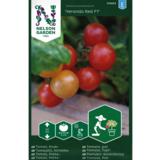 Kirsikkatomaatti, 'Veranda Red' F1