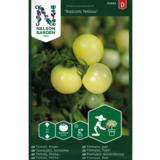 Kirsikkatomaatti, 'Balconi Yellow'