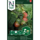 Kirsikkatomaatti, 'Balconi Red'