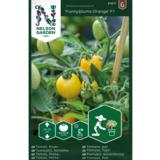 Kirsikkatomaatti, 'Funnyplums Orange' F1