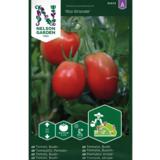 Luumutomaatti, 'Rio Grande'