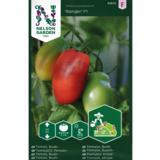 Luumutomaatti, 'Ranger' F1