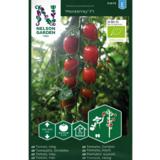 Kirsikkatomaatti, 'Monterrey' F1, luomu