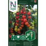 Kirsikkatomaatti, 'Rubylicious' F1