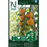 Kirsikkatomaatti, 'Merrygold' F1