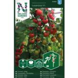 Kirsikkatomaatti, 'Lovertino' F1