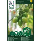 Kirsikkatomaatti, 'Green Envy'