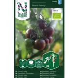 Kirsikkatomaatti, 'Black Cherry', luomu