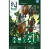 Kirsikkatomaatti, 'Shimmer' F1