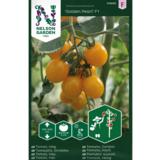 Kirsikkatomaatti, 'Golden Pearl' F1