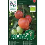 Tomaatti, 'Matina', luomu