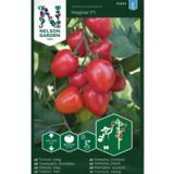 Luumutomaatti, 'Nagina' F1