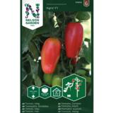 Luumutomaatti, 'Agro' F1