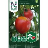 Tomaatti, 'Coeur de Boeuf'