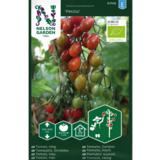 Tomaatti, 'Petita', luomu