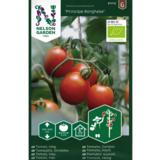 Kirsikkatomaatti, 'Principe Borghese', luomu