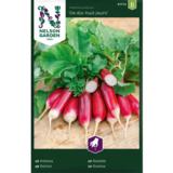 Retiisi, De dix-huit jours