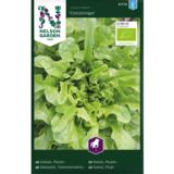 Tammenlehtisalaatti, 'Catalonga', luomu