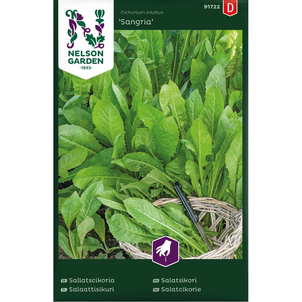 Salaattisikuri 'Sangria'