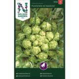 Salaattisikuri, 'Puntarelle di Galatina'