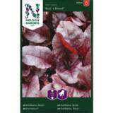 Punajuuri, 'Bull's Blood'