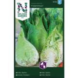 Suippokaali, 'Filderkraut'