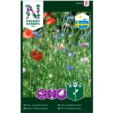 Niittykukkaseos, Engblomster