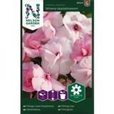 Ahkeraliisa, 'Athena Appleblossom' F1