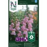 Leijonankita, 'Opus Pink' F1