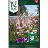 Leijonankita, 'Lucky Lips'