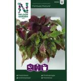 Isokirjopeippi, 'Formula Mixture'