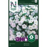 Tarhapetunia, 'Opera Supreme White' F1