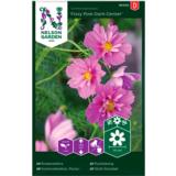 Punakosmoskukka 'Fizzy Pink Dark Center'