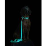 Talutin PAIKKA Glow 180 cm