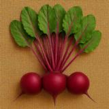 Punajuuri Camaro 50 000 kpl