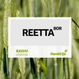 Reetta BOR kemiallisesti peitattu syyspopulaatioruis