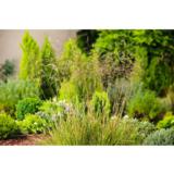 Nurmilauha Pixie Fountain