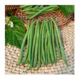 Papu Primel 1 kg peittaamaton