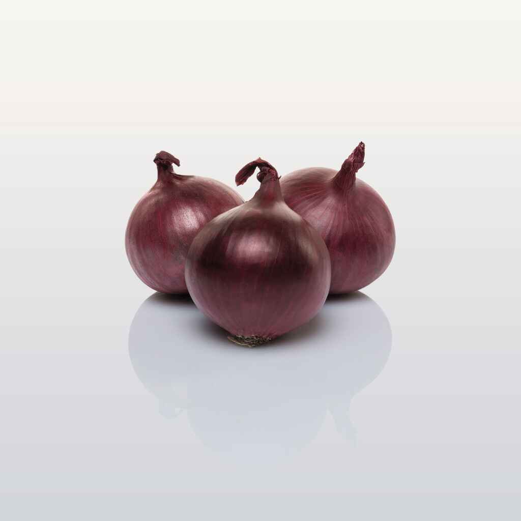 Punasipuli Red Baron ruokasipuli