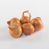 Salottisipuli Golden Gourmet 500 g