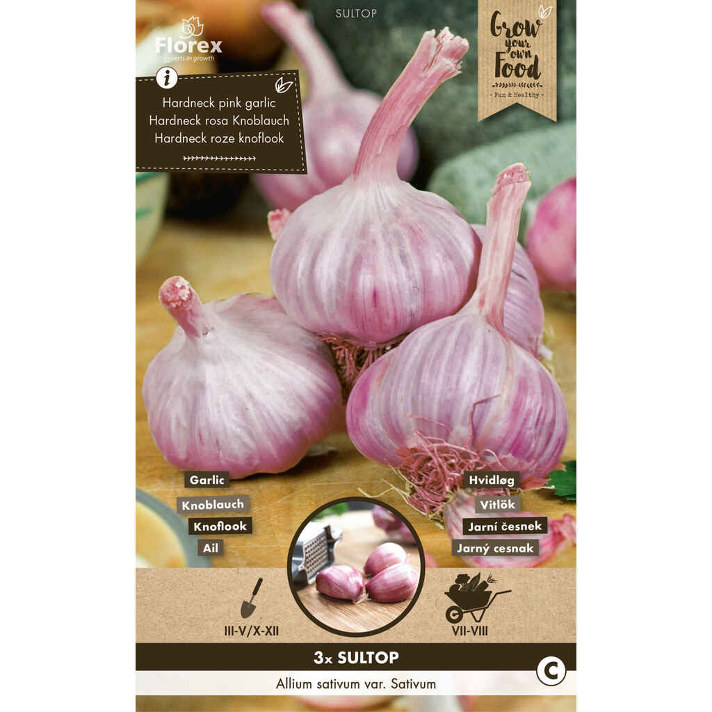 Valkosipuli Sultop 3 kpl