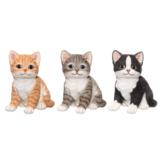 Patsas kissanpentu istuva 16 cm lajitelma